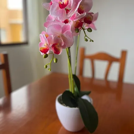 Apartment A La Brena *